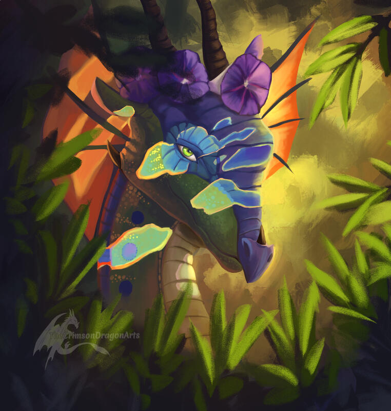 Morning Glory [2024]